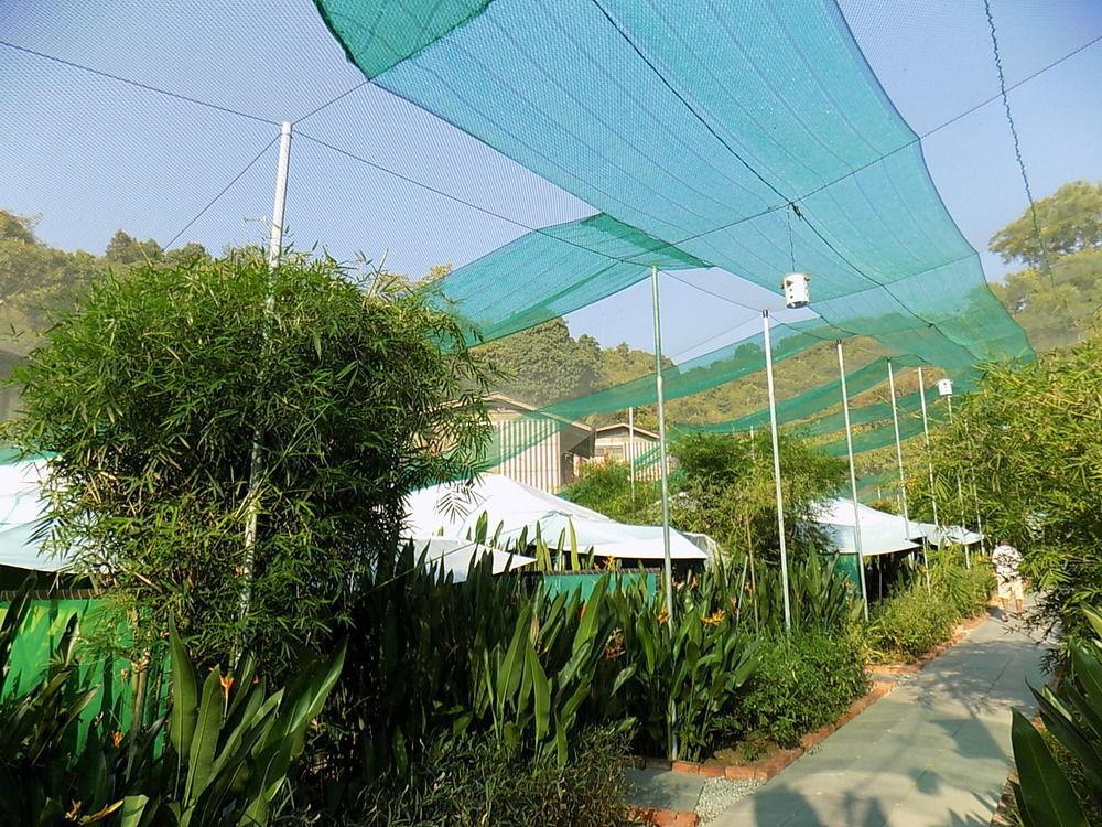 T Star Cottage Langkawi Pantai Cenang  Dış mekan fotoğraf