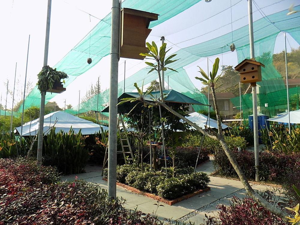 T Star Cottage Langkawi Pantai Cenang  Dış mekan fotoğraf