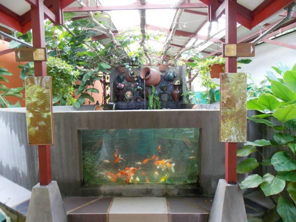 T Star Cottage Langkawi Pantai Cenang  Dış mekan fotoğraf