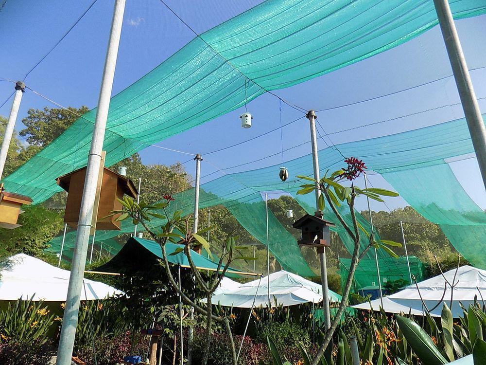 T Star Cottage Langkawi Pantai Cenang  Dış mekan fotoğraf