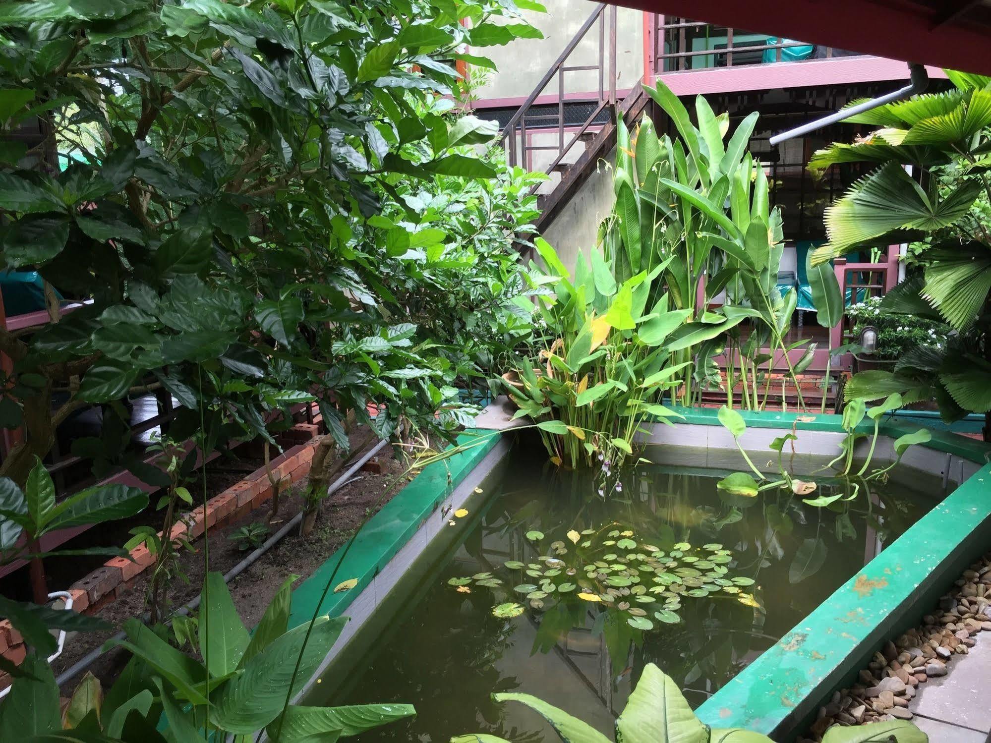 T Star Cottage Langkawi Pantai Cenang  Dış mekan fotoğraf